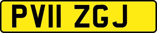 PV11ZGJ