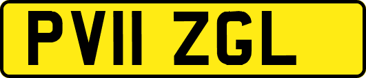 PV11ZGL