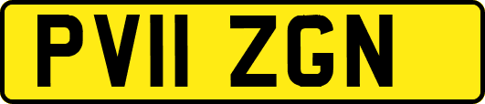 PV11ZGN