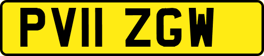 PV11ZGW