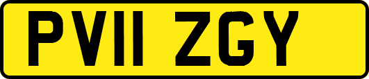 PV11ZGY