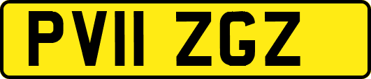 PV11ZGZ