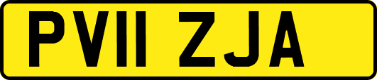 PV11ZJA