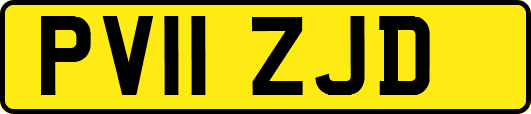 PV11ZJD