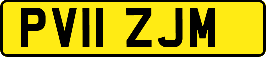 PV11ZJM
