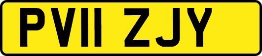 PV11ZJY