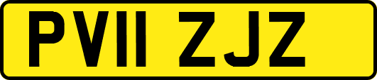 PV11ZJZ
