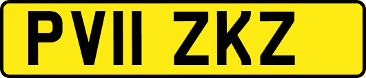 PV11ZKZ