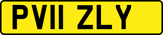 PV11ZLY