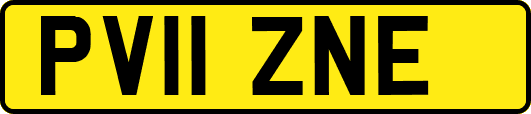 PV11ZNE
