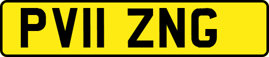 PV11ZNG