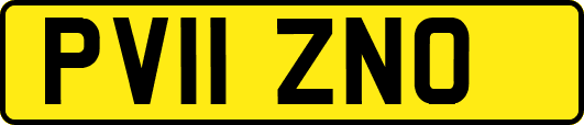 PV11ZNO
