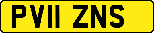 PV11ZNS