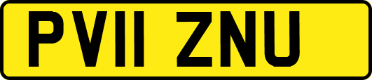 PV11ZNU