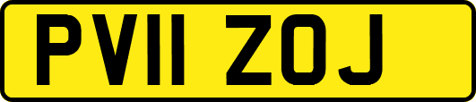 PV11ZOJ