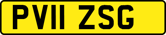 PV11ZSG
