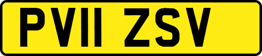 PV11ZSV