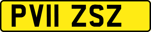 PV11ZSZ