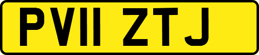 PV11ZTJ