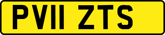 PV11ZTS