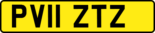 PV11ZTZ