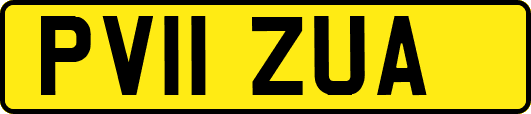 PV11ZUA