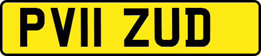 PV11ZUD