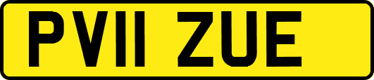 PV11ZUE