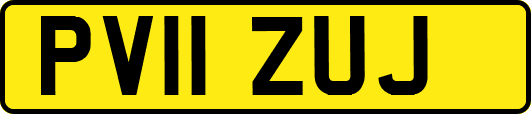 PV11ZUJ