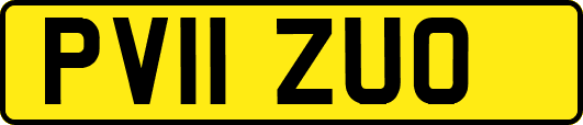 PV11ZUO