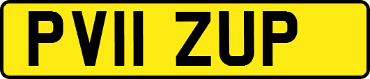 PV11ZUP