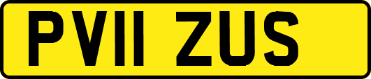 PV11ZUS