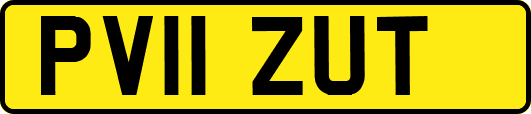 PV11ZUT