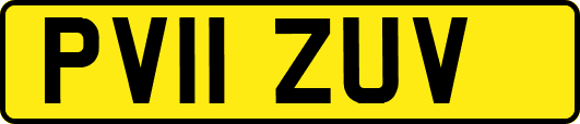 PV11ZUV