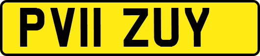 PV11ZUY