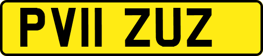 PV11ZUZ