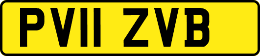 PV11ZVB