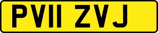 PV11ZVJ