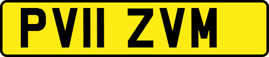 PV11ZVM