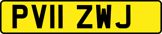 PV11ZWJ