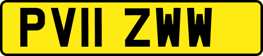 PV11ZWW