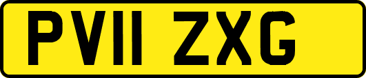 PV11ZXG