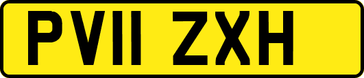 PV11ZXH
