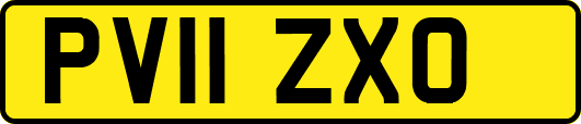 PV11ZXO