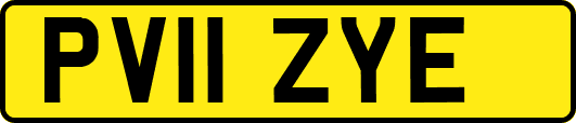 PV11ZYE