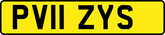 PV11ZYS