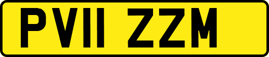 PV11ZZM