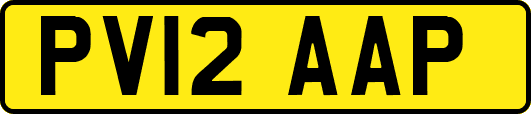 PV12AAP
