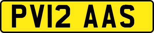 PV12AAS