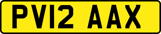 PV12AAX